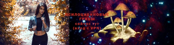 прущие грибы Армянск