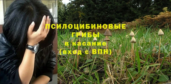 a pvp Белокуриха