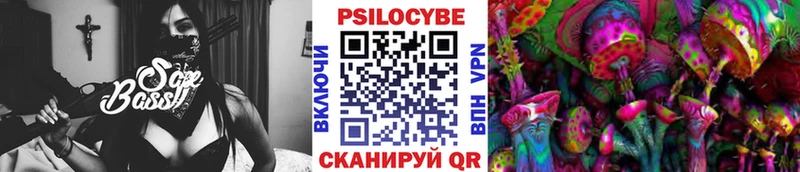 Галлюциногенные грибы Psilocybe  OMG маркетплейс  Кашин 