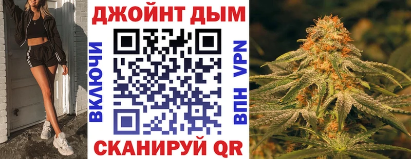 купить наркоту  мега ссылка  Конопля ГИДРОПОН  Кашин 